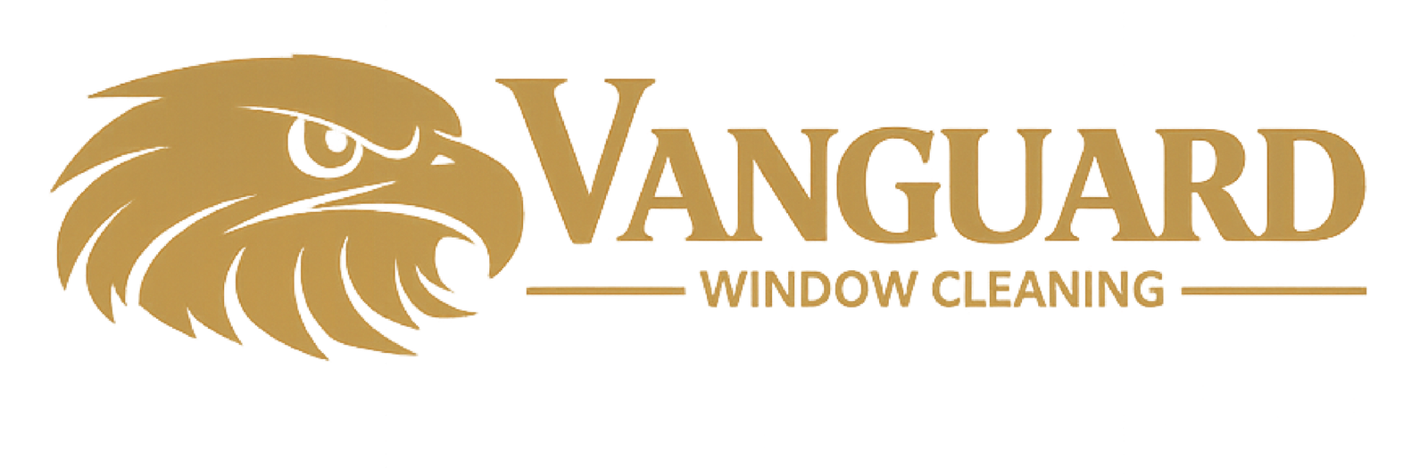 vanguardwindowcleaning.co.uk